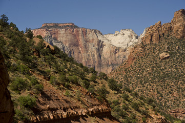 Zion, rocky mountains with trees growing out of the rocks