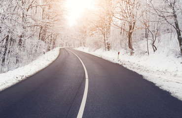 Fototapeta na wymiar Empty road in forest in winter