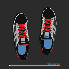 pair of casual sneakers with laces, vector, illustration,