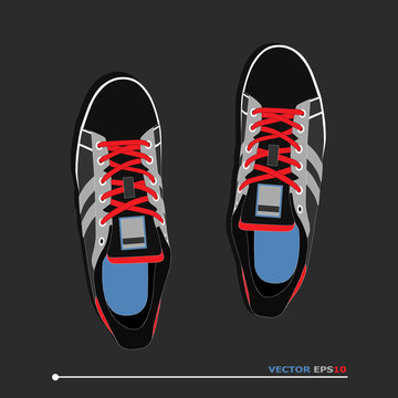 pair of casual sneakers with laces, vector, illustration,