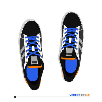 pair of casual sneakers with laces, vector, illustration,