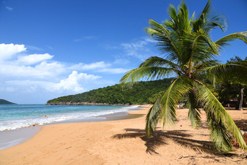 plage de la perle en guadeloupe