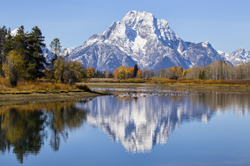Oxbow Bend featuring Mount Moran and fall colors