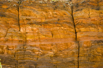 Zion mountains and cliffs with trees growing out of rocks