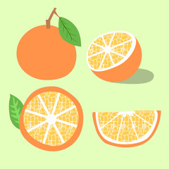 Orange fruit Vector illustration. Set of vector orange,  isolated