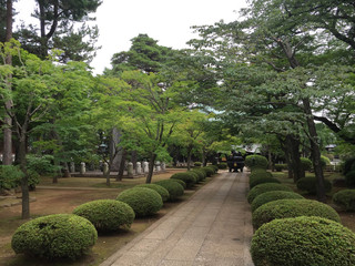 Gohtokuji Temple, Tokyo, Japan - 世田谷 豪徳寺
