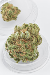 Close up of Charlie Sheen medical marijuana buds