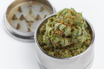 Close up of Charlie Sheen medical marijuana buds