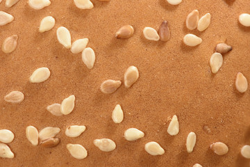 Macro photo of bun covered with sesame seeds