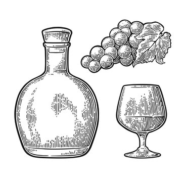 Glass and bottle of cognac with bunch of grapes.