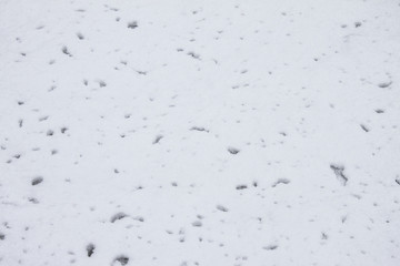 Snow texture