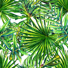 Obrazy  Kwiatowy wzór z akwarela tropikalnych liści palmowych. Dżungla liści na białym tle. Projektowanie tekstyliów.
