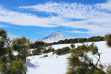 Parque Nacional de las Ca&ntilde;adas del Teide