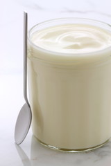 plain french style yogurt