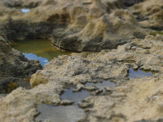 Azure Window bei San Lawrenz auf Gozo