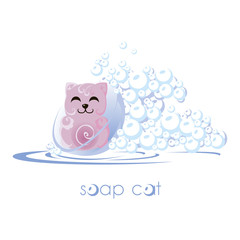 Soap cat. Bubbles and water.