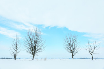 Beautiful winter landscape with trees on blue sky background