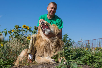 The man opens the jaws of a lion in safari park Taigan, Crimea,