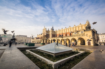 Fototapeta premium Beautiful market square with birds, Krakow, Poland