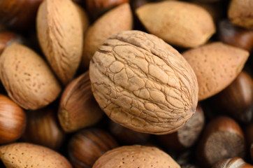 Mixed Nuts shot from Above