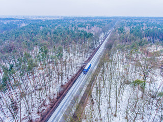 Trunk on the road © Wojciech