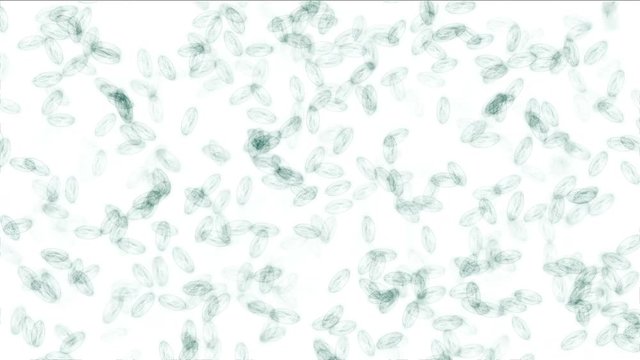 Moving microbes under microscope