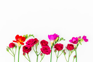 Colorful red and pink flowers isolated on white background. Flat lay, Top view. Spring background