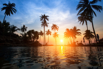 Fototapeta na wymiar Bright sunset among palm trees on a tropical beach.