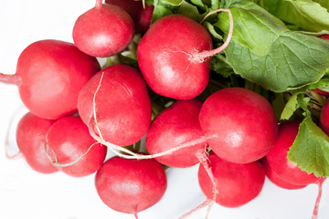 Fresh Radishes Closeup