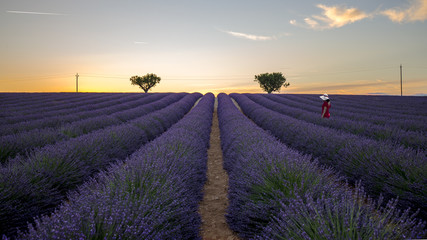 profumi e colori