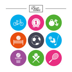 Sport games, fitness icon. Football, basketball.