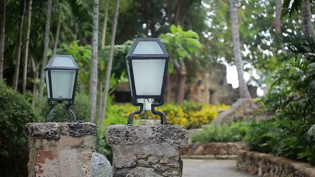 Street lamps in tropical park
