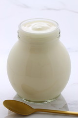 plain french style yogurt