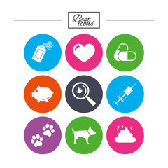 Veterinary, pets icons. Dog paws, syringe signs.