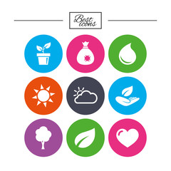 Sprout, leaf icons. Garden and weather signs.
