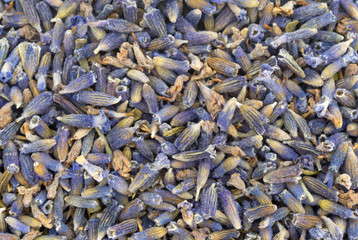 A very close view of dried lavender flower petals.