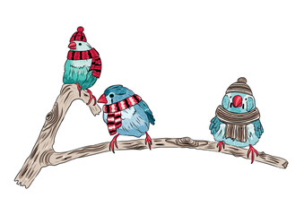 vector cute birds warm dressed and sitting on trees