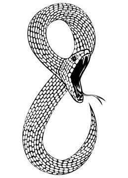snake 3