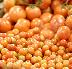 detail of tomato at market