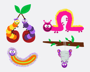 Cartoon caterpillar insect vector illustration.