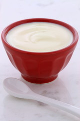 vintage plain yogurt
