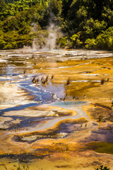 Orakei Korako geotermal valley, mud pool