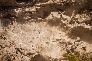 Orakei Korako geotermal valley, mud pool