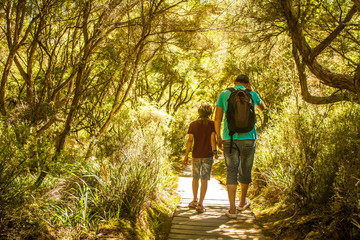 father and son walking by forest, summer track hiking