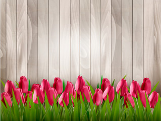 Nature spring background with red tulips on wooden sign. Vector.