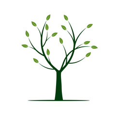 Obraz premium Green Tree with Leafs. Vector Illustration.