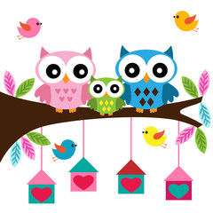 Owls family sitting on a branch