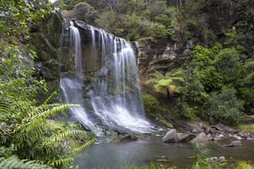Fototapeta na wymiar Mokoroa Waterfalls Auckland New Zealand