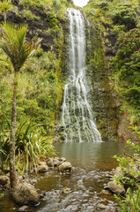 Fototapeta na wymiar Karekare Waterfalls Auckland New Zealand