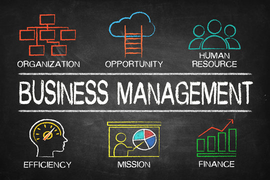 Business Management concept chart on blackboard
